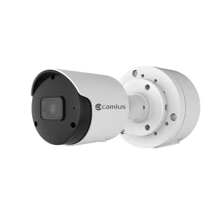 Camius BOLTX536R