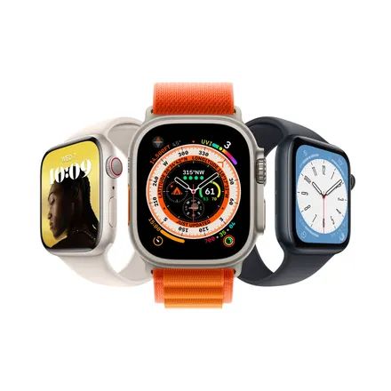 Apple Inc. 6 certified variants