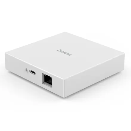 Hama GmbH & Co. KG 0x0827