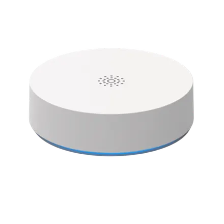 LG Electronics 0x2010
