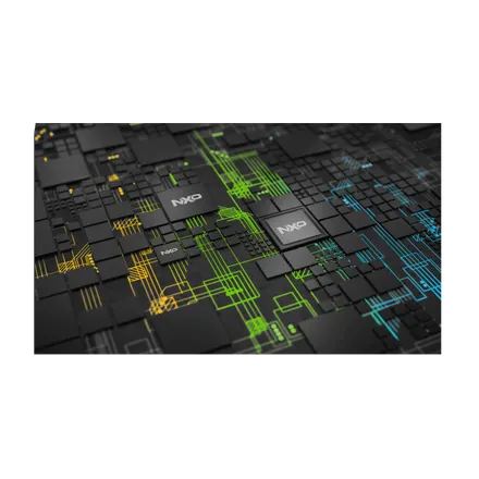 NXP Semiconductors 0x4101