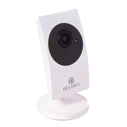 Delaney Hardware ZW100