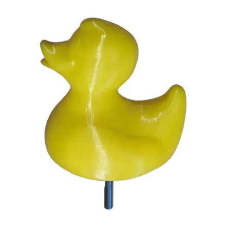 Bacchus Duck Pool Thermometer
