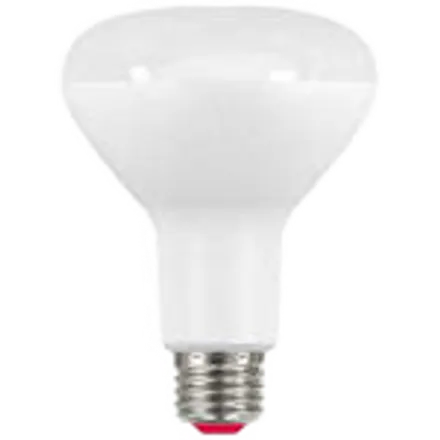 EcoSmart A9BR3065WESDZ02