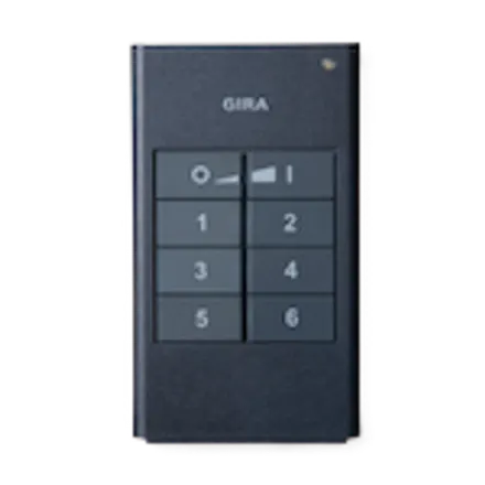 Gira 2435-10