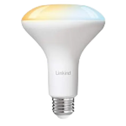 Linkind ZL100050004