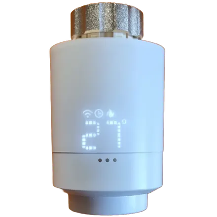 Maginon WT-1