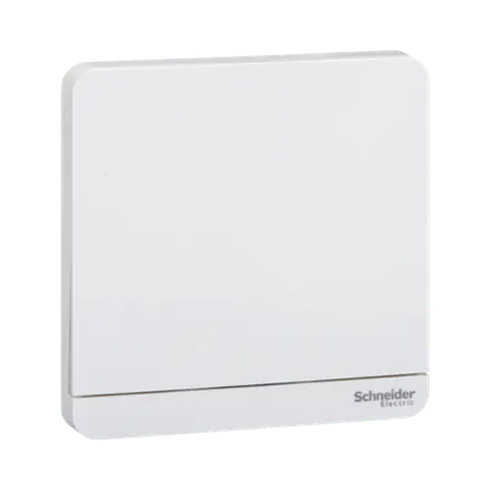 Schneider Electric E8331SRY800ZB
