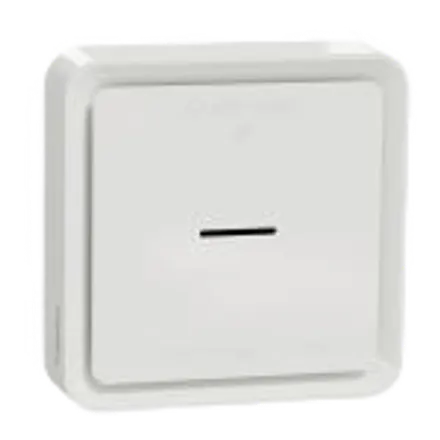 Schneider Electric W599001