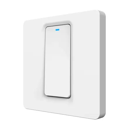Tuya DS-102BZN