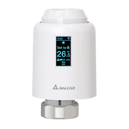 Tuya TRV602
