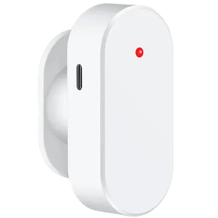 Tuya ZT24Pro